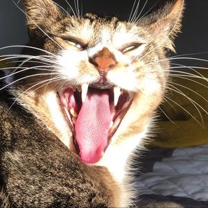 Meet your Posher, Scott